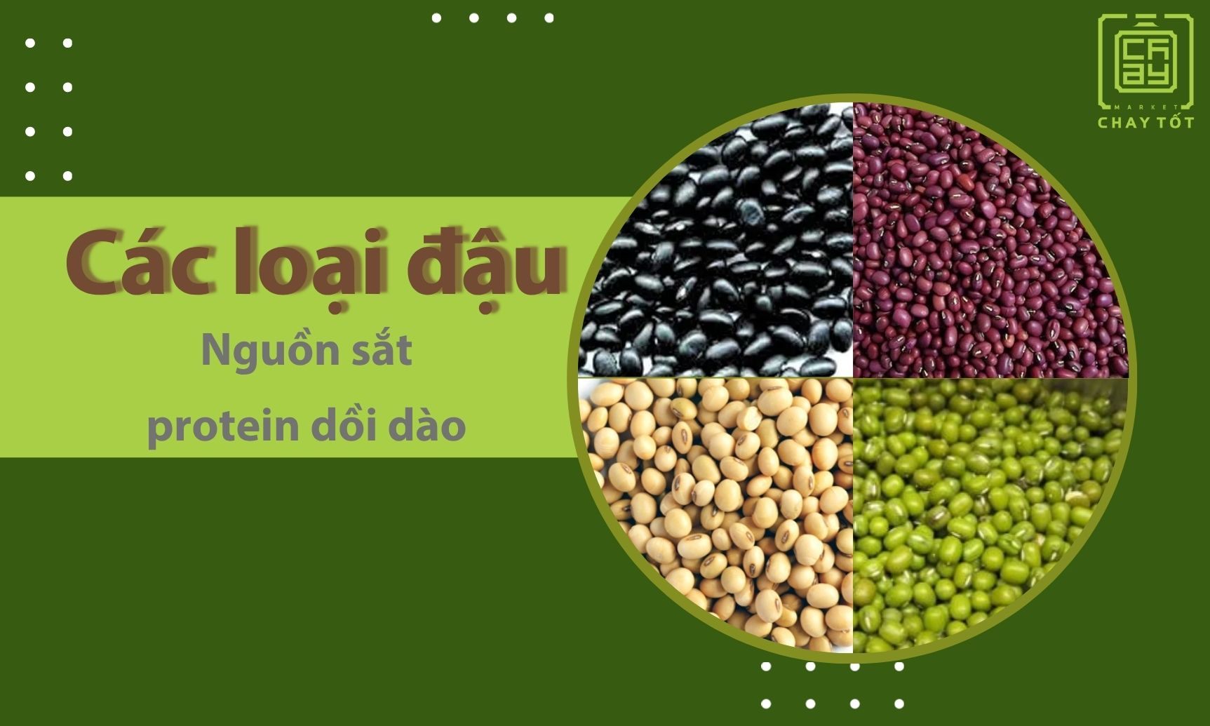 Các loại đậu giàu sắt là một phần quan trọng trong chế độ ăn chay