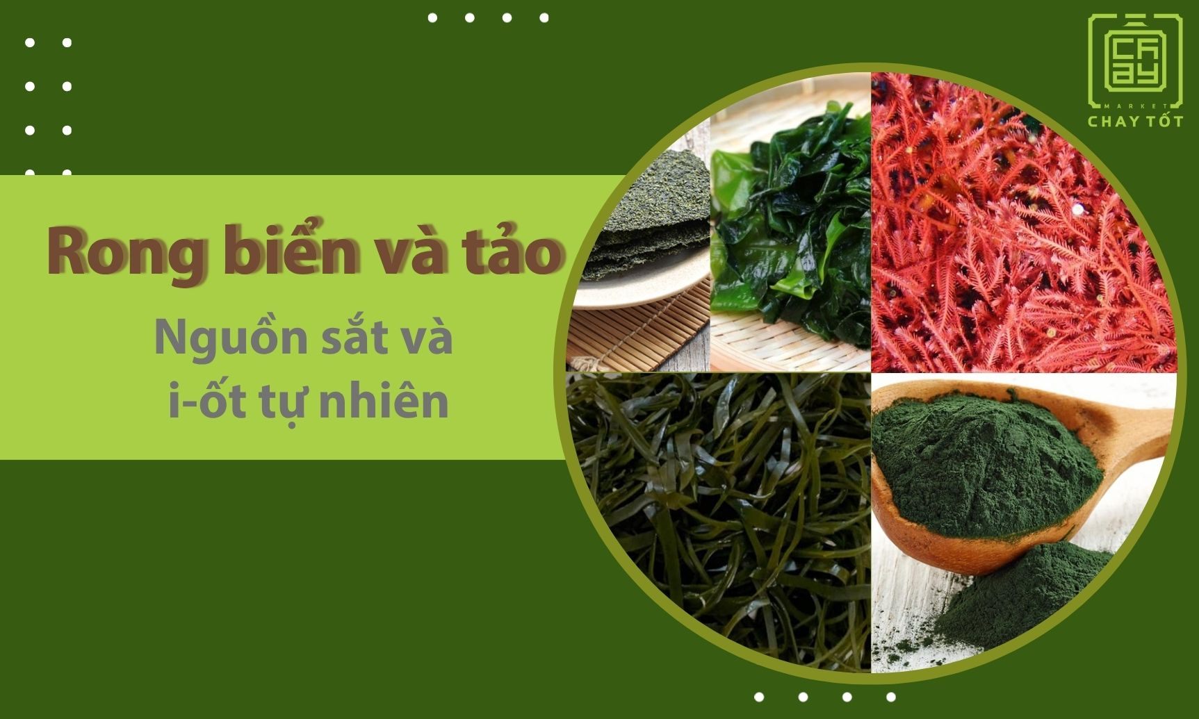 Rong biển và tảo là những thực phẩm chay chứa sắt, i-ốt, canxi và chất chống oxy hóa