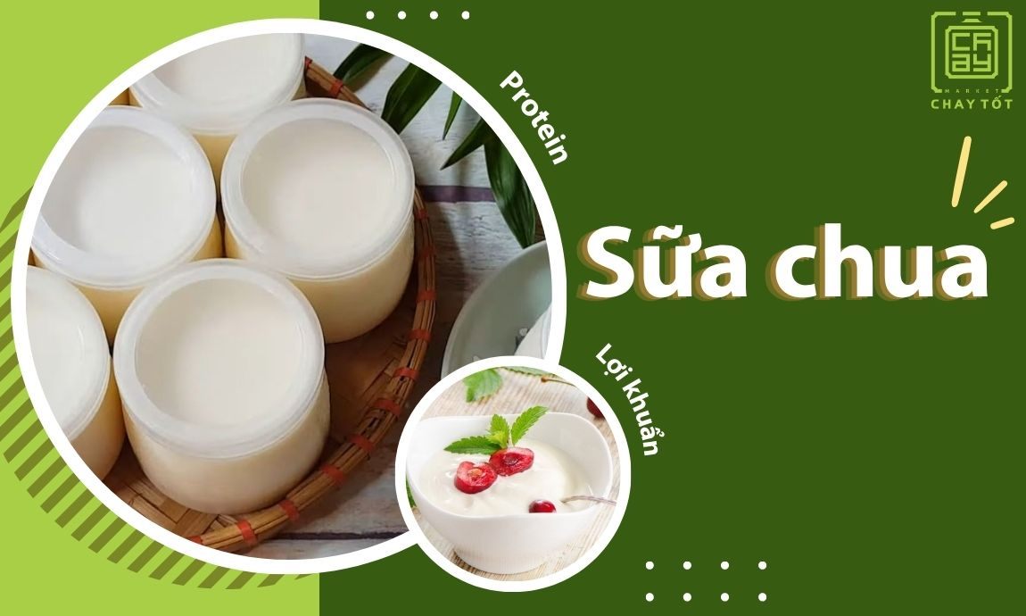 Sữa chua là thực phẩm phù hợp với chế độ ăn chay có sữa