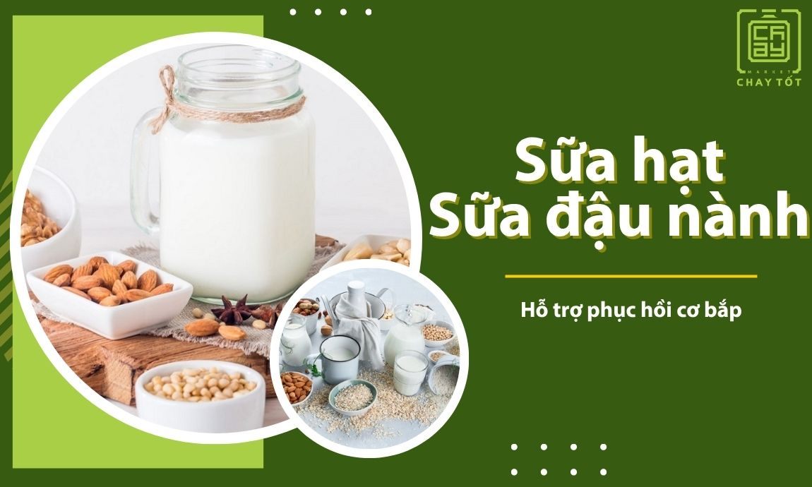 Sữa hạt và sữa đậu nành là thực phẩm ăn chay cho người tập gym lý tưởng