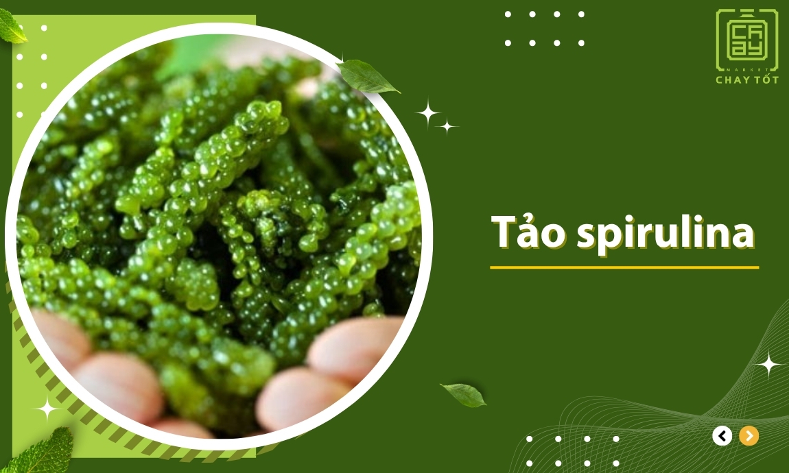 Tảo spirulina thực phẩm chay nhiều canxi