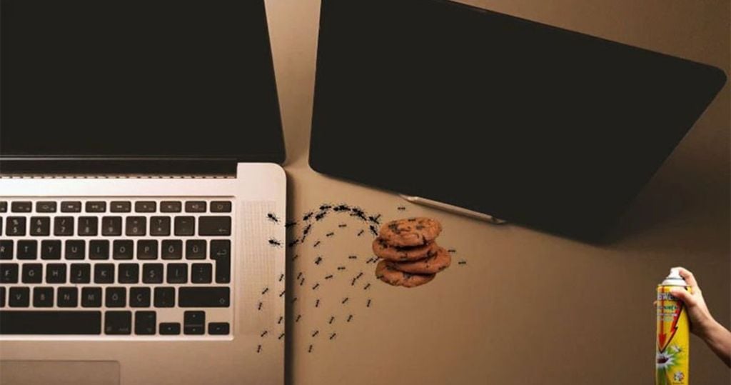 Diệt kiến trong laptop bằng mồi nhử