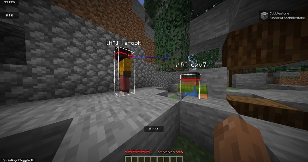 Hytale có đủ nguồn lực để phát triển trong ít nhất 2 năm tiếp theo