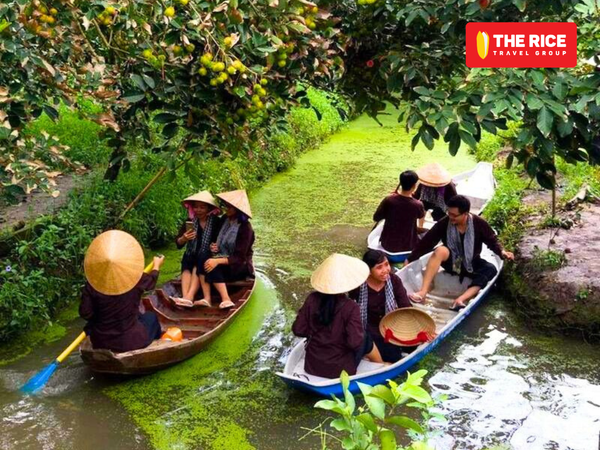 Du khách có thể ngồi trên xuồng và hái trái cây thật thư giãn