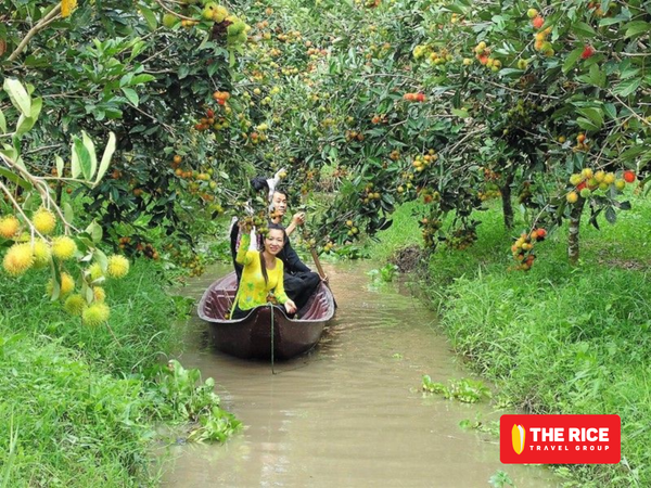 Visitors can relax while sitting in a boat and picking fruit.