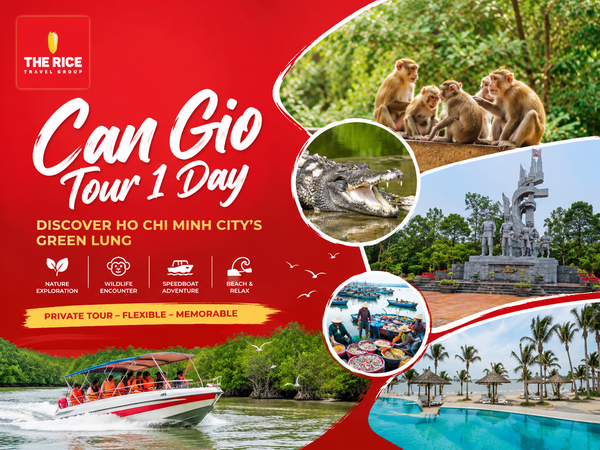 Tourists will experience pristine nature when participating in the Can Gio - Monkey Island tour.