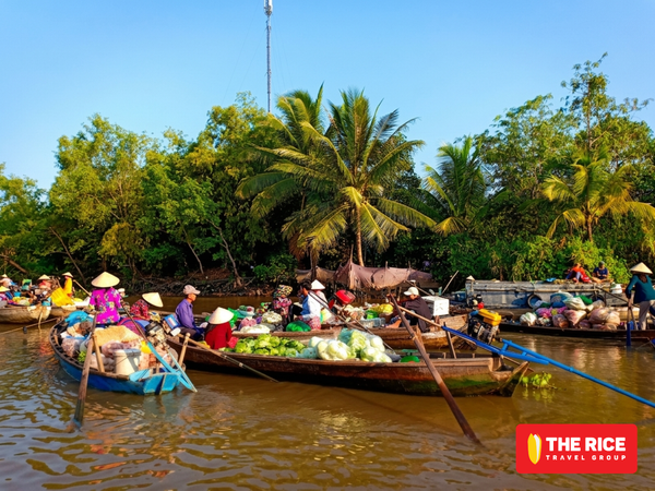 Experience a tour of Can Tho now to immerse yourself in the local culture.