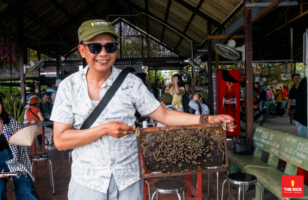 Những tấm sáp ong mới được thu hoạch thơm lừng