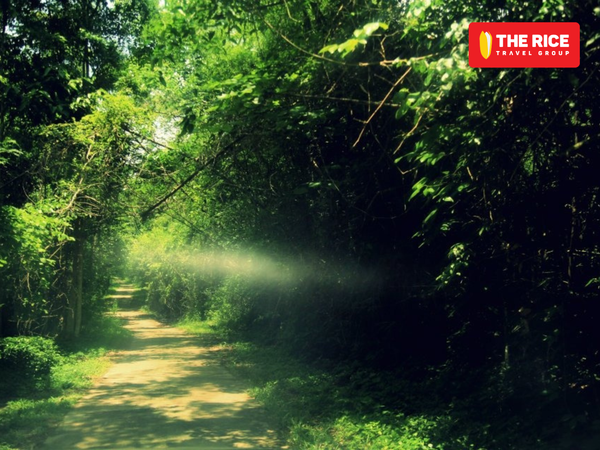 Nam Cat Tien - a must-visit destination for adventurous travelers