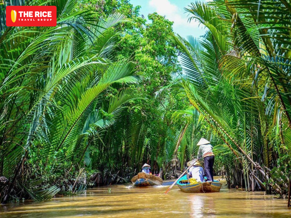 Tour du lịch Bến Tre - hành trình trải nghiệm đồng bằng Sông Cửu Long đáng thử cho mọi du khách
