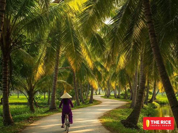 Đi vào buổi sáng, du khách có thể tận hưởng hết bầu không khí trong lành, dưới những tán lá dừa mát mẻ