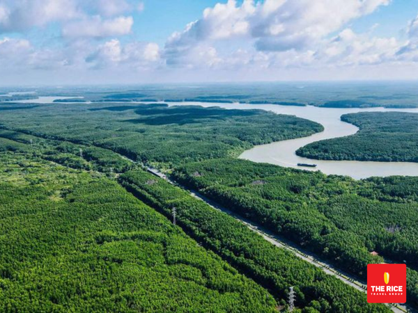 Can Gio Mangrove Forest - A UNESCO-Recognized Biosphere Reserve