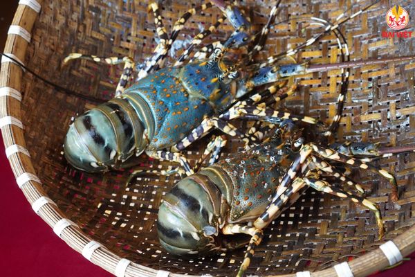 The seafood tanks are located within the restaurant grounds