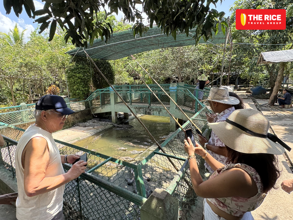 The crocodile farm is well-protected with barriers, ensuring the safety of visitors.