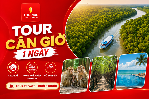 Du khách sẽ được trải nghiệm thiên nhiên hoang sơ khi tham gia tour Cần Giờ - Đảo Khỉ