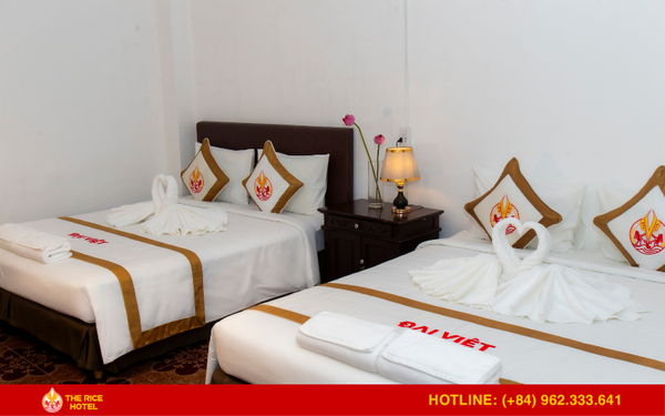 Hạng phòng Suite Executive - lựa chọn hàng đầu tại The Rice 131 Bùi Viện