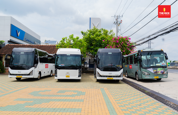 The Rice Travel Group - a reputable tour provider in District 1, Ho Chi Minh City.