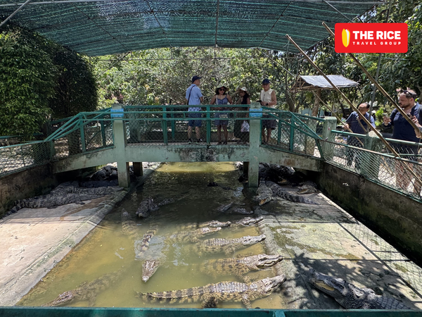 The crocodile farm
