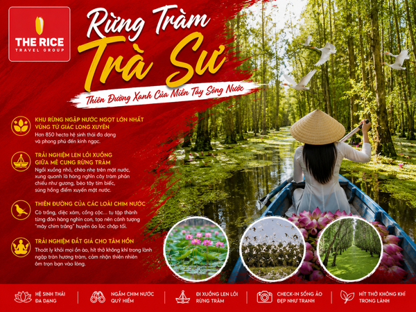 Rừng Tràm Trà Sư