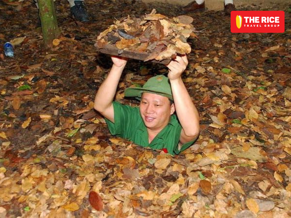 The Rice Travel Group tự hào mang đến những nơi du lịch đáng nhớ cho du khách