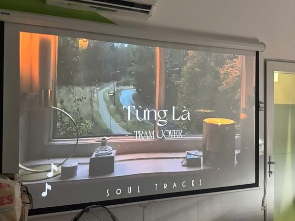 Cân nhắc lựa chọn kích thước màn chiếu đúng với không gian sử dụng