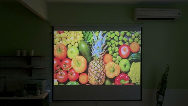 Chọn đúng loại màn chiếu sẽ giúp máy chiếu thể hiện được tối đa hiệu suất chiếu