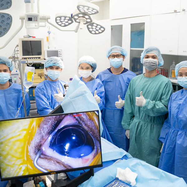 Ca phẫu thuật đục thủy tinh thể cho chó