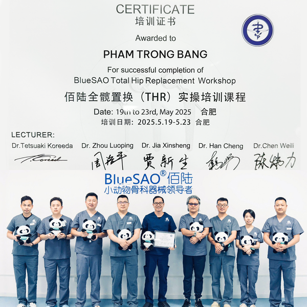 Chứng nhận thay khớp háng 2025