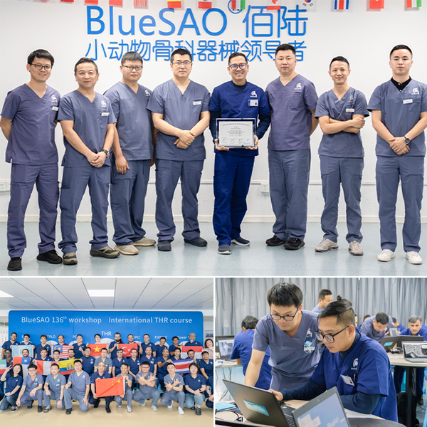 Chứng nhận thay khớp háng toàn phần cho thú cưng