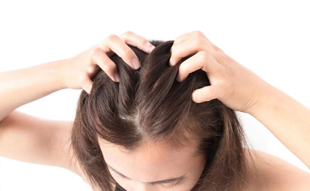 LLLT có thể giúp cải thiện mật độ tóc và độ dày tóc ở người bị rụng tóc (Nguồn ảnh: Internet)