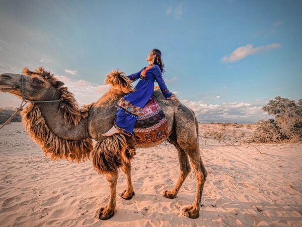 Camel ride Vietnam
