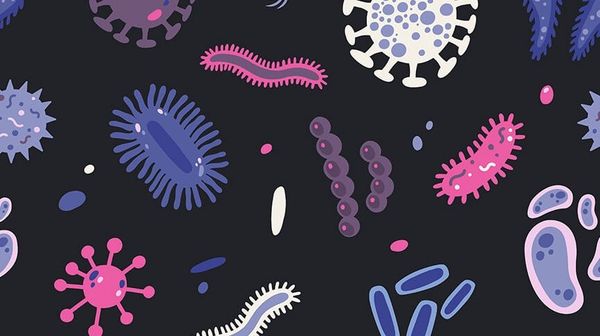 Cốc nguyệt san kém chất lượng dễ tạo điều kiện cho vi khuẩn phát triển