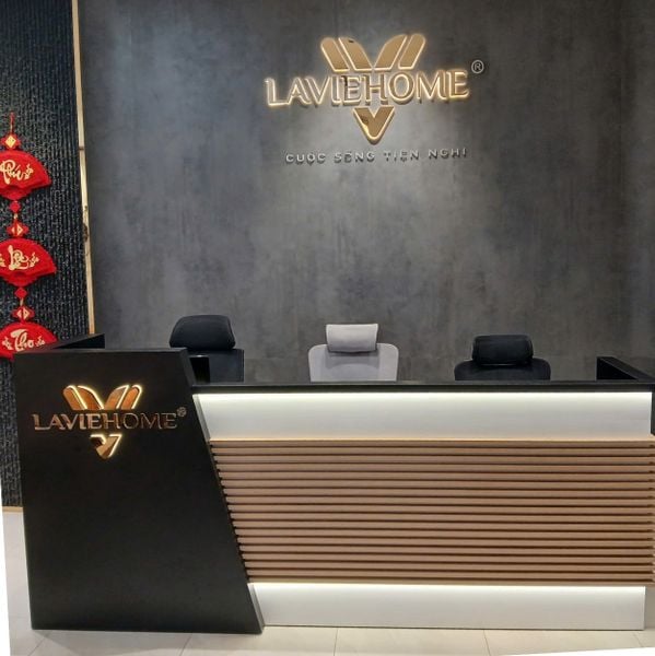 Giới thiệu Nội Thất Laviehome