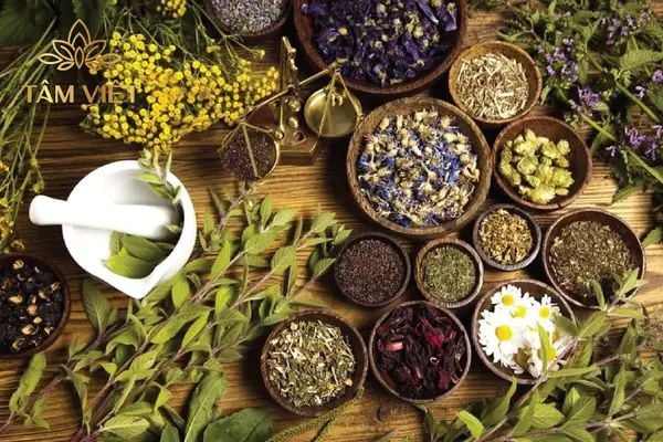 Nên uống trà thảo mộc khi nào? Những thời điểm vàng lưu ý