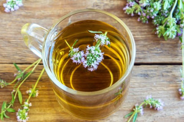 Trà cỏ xạ hương