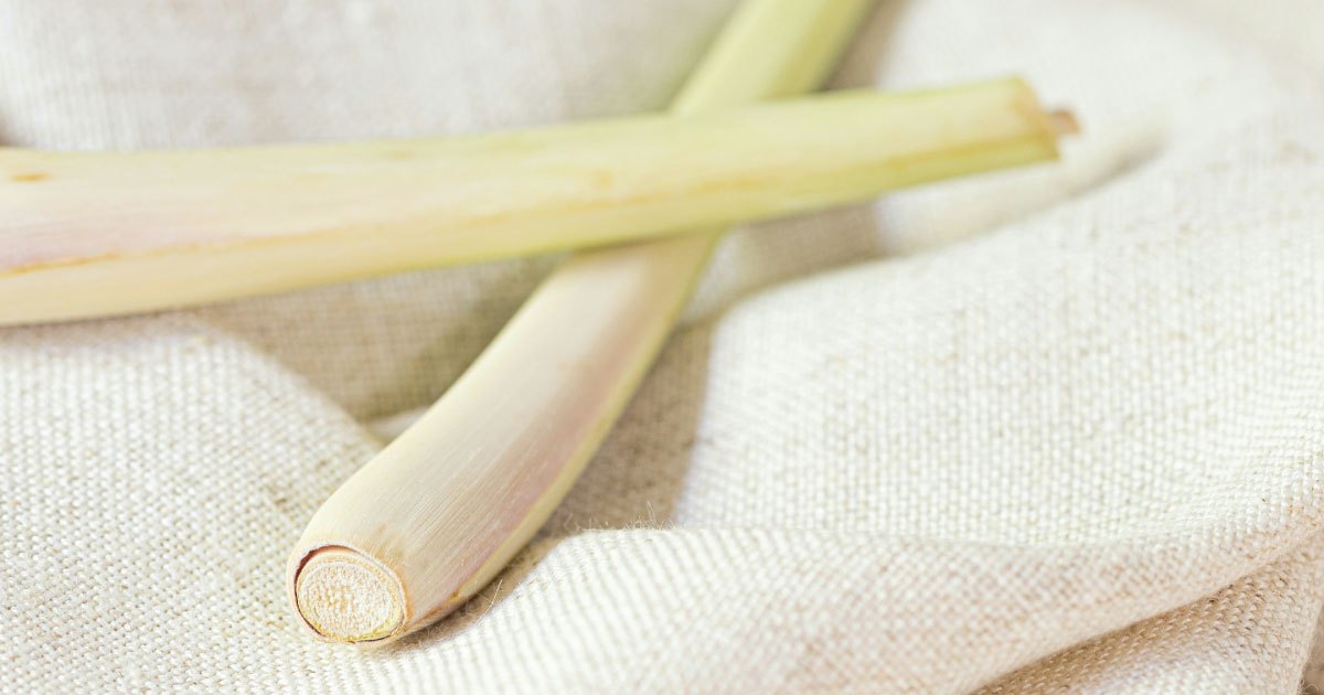 Mẹo Diệt Mọt Gỗ Tại Nhà Hiệu Quả – An Toàn – Dễ Thực Hiện