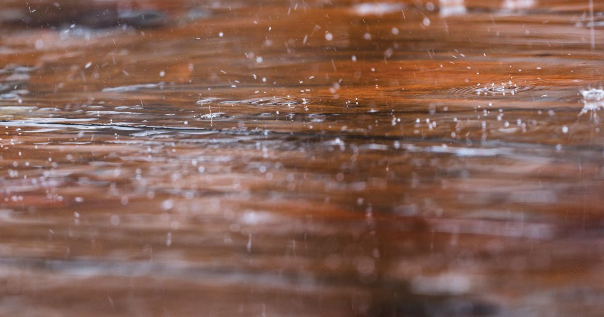 Mẹo Chống Ẩm Mốc Cho Đồ Gỗ Trong Mùa Mưa