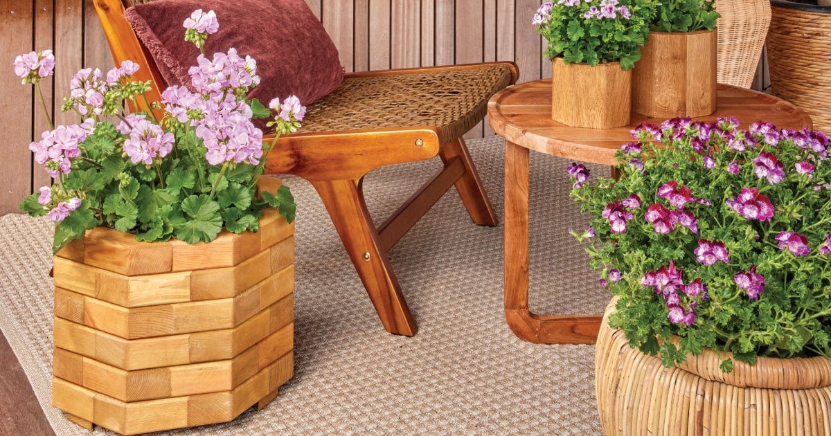 Kết hợp gỗ và cây xanh trong thiết kế nội thất hiện đại