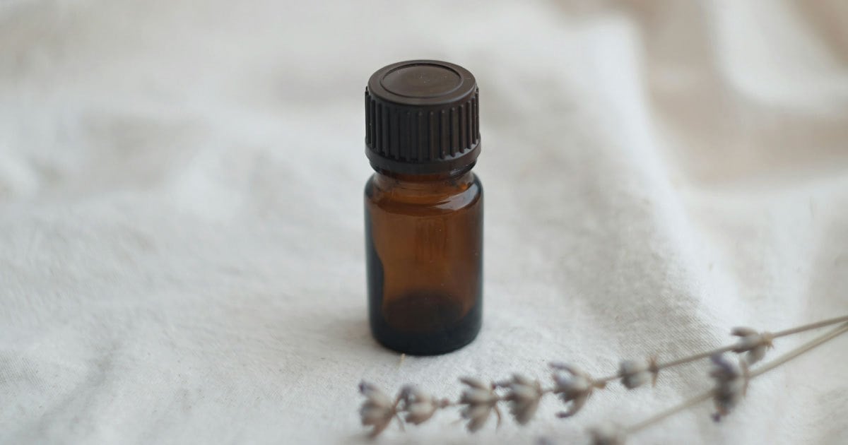 Cách Làm Sạch Đồ Gỗ Bị Mốc Hiệu Quả, Đơn Giản Tại Nhà