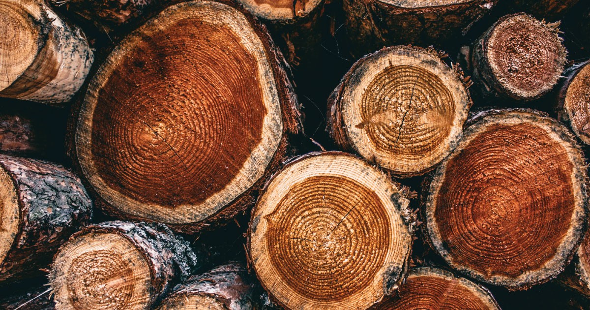 Gỗ nào thích hợp cho nội thất ngoài trời?