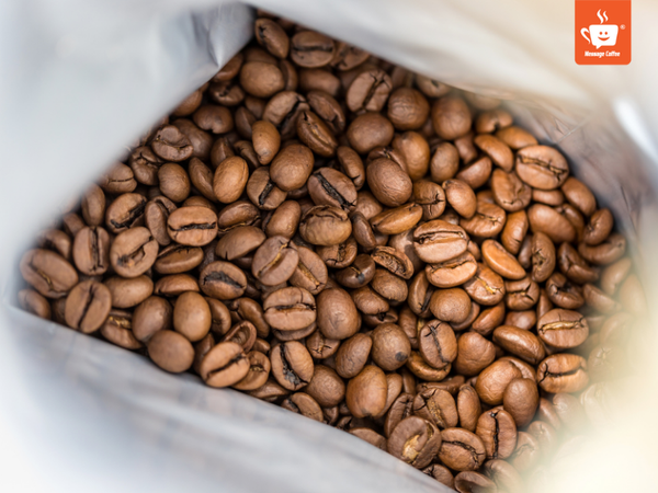 messagecoffee-cung-cap-ca-phe-specialty