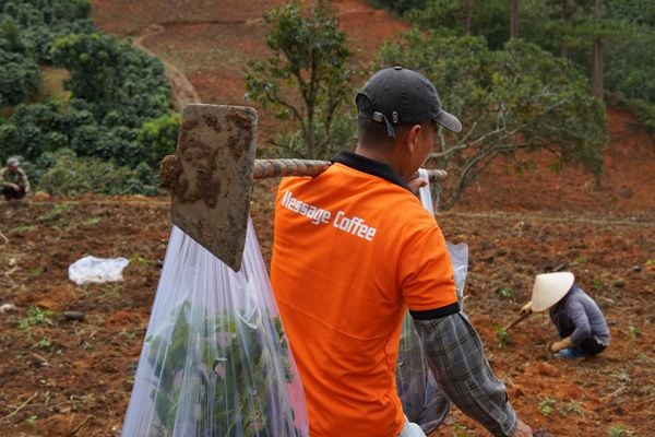 nong-trai-san-xuat-ca-phe-rang-moc-gia-si