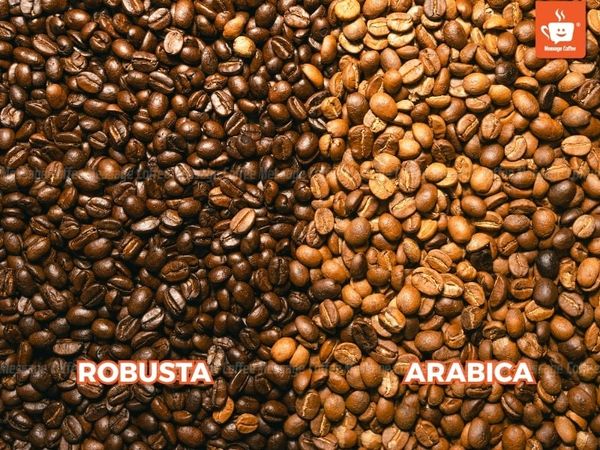 lua-chon-ca-phe-phu-hop