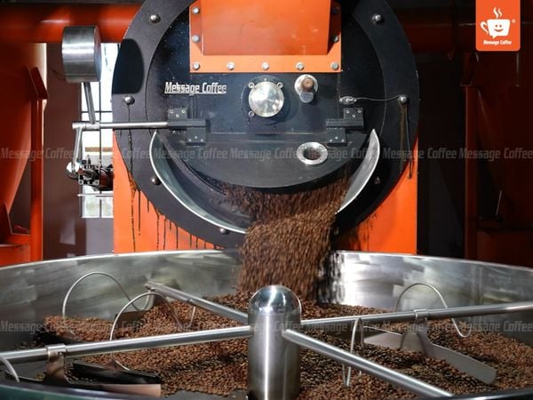 chon-mua-ca-phe-rang-moc