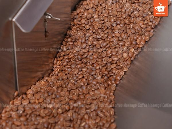 ca-phe-rang-moc-la-gi