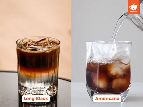 phan-biet-long-black-va-americano