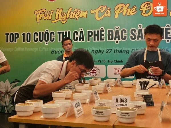 tieu-chi-fine-robusta