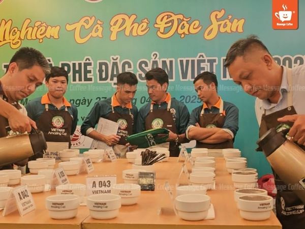 tieu-chuan-fine-robusta