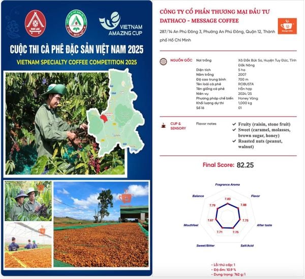 bang-cham-diem-fine-robusta