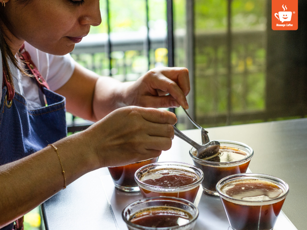 messagecoffee-cac-buoc-cupping-ca-phe.png